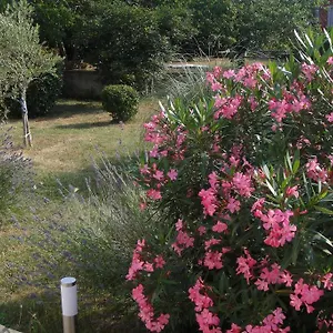 Adriana , Labin (Istria) Croazia
