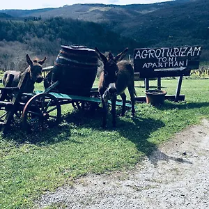 Agroturizam Toni , Motovun Croazia